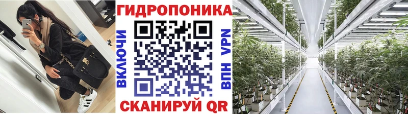 Наркошоп купить A PVP МЕФ МЕТАДОН Галлюциногенные грибы Конопля ГАШИШ Моршанск