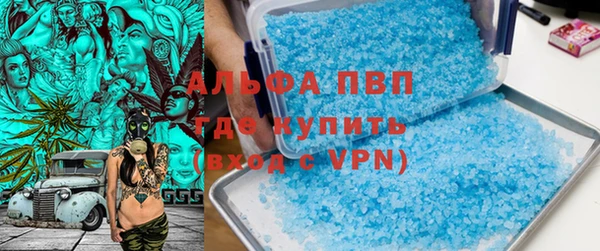 СК Гусь-Хрустальный