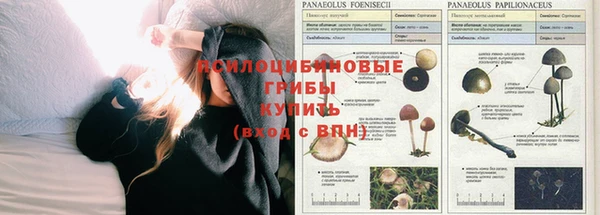 СК Гусь-Хрустальный