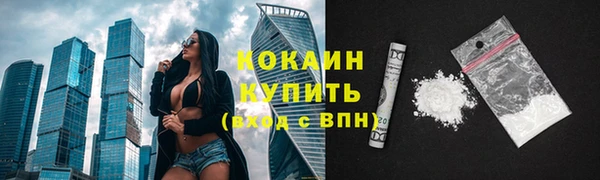 СК Гусь-Хрустальный