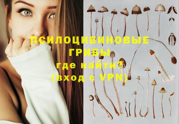 MDMA Premium VHQ Гусев