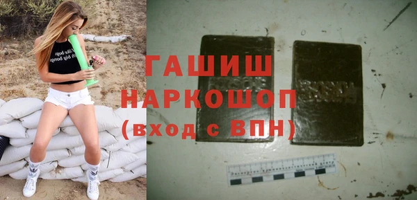 гидра Горняк