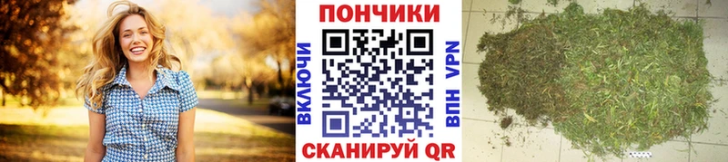 Шишки марихуана OG Kush  Купить где  Моршанск 